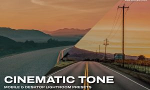 Cinematic Tone Lightroom Presets & LUTs