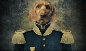 Dog General Photoshop Action