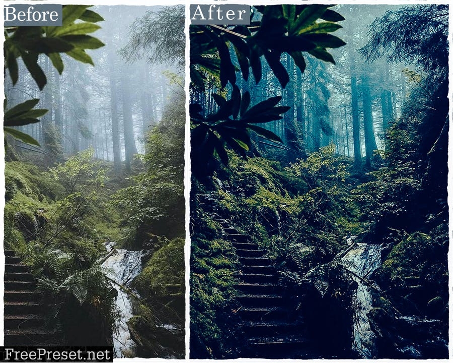 Forest Photoshop Actions & Lightroom Presets