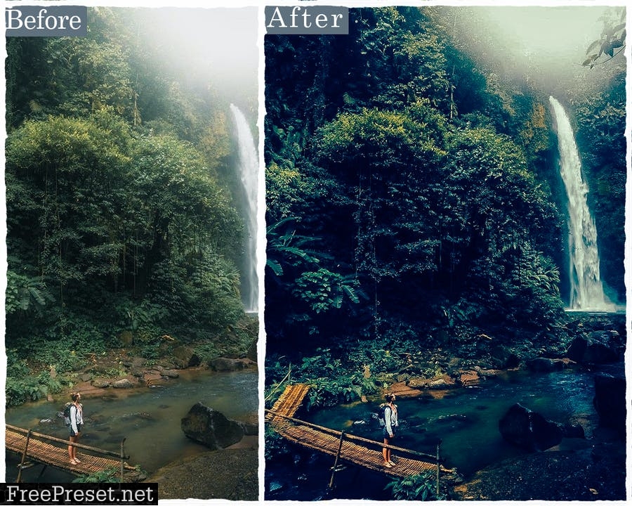 Forest Photoshop Actions & Lightroom Presets