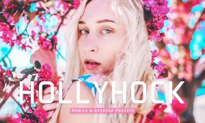 Hollyhock Mobile & Desktop Lightroom Presets