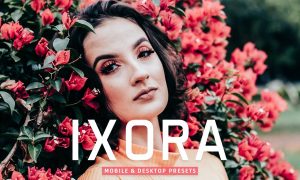 Ixora Mobile & Desktop Lightroom Presets