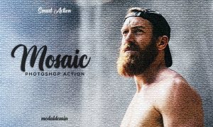 Mosaic Effect - Photoshop Action