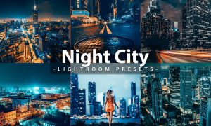 Night City | Lightroom Presets