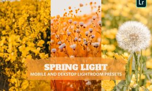 Spring Light Lightroom Presets Dekstop and Mobile