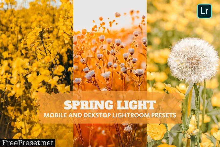 Spring Light Lightroom Presets Dekstop and Mobile