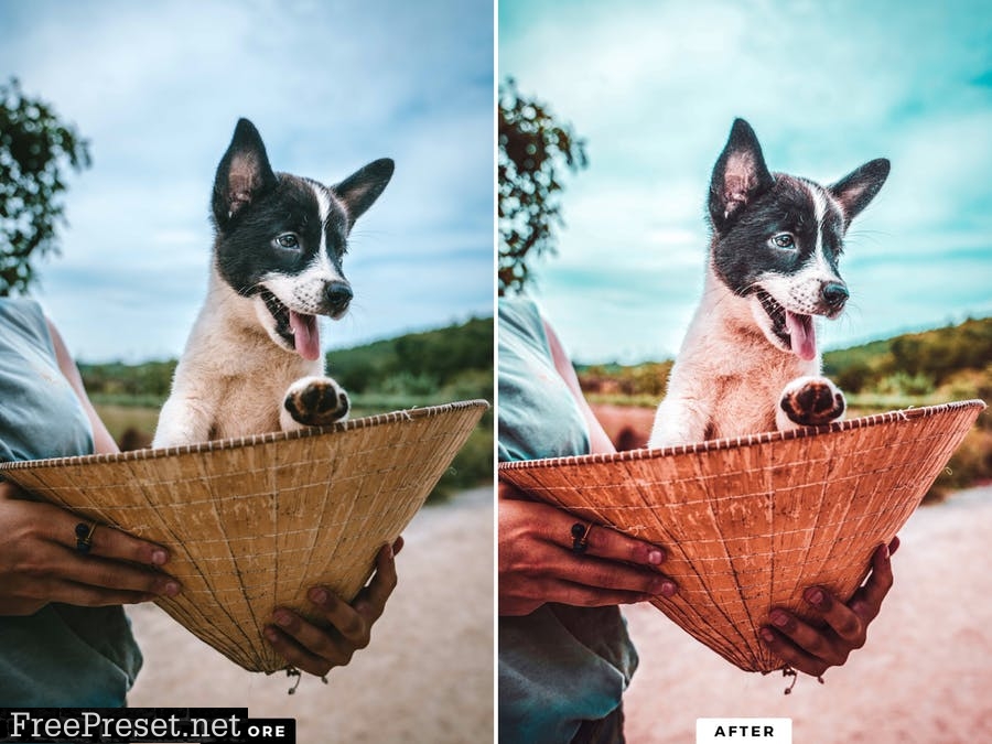 10 Paradise Lightroom Mobile and Desktop Presets