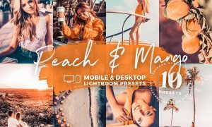 10 Peach & Mango Lightroom Mobile Desktop Presets