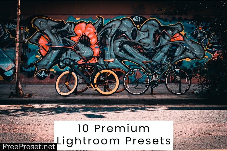 10 Premium Lightroom Presets