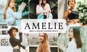 Amelie Mobile & Desktop Lightroom Presets