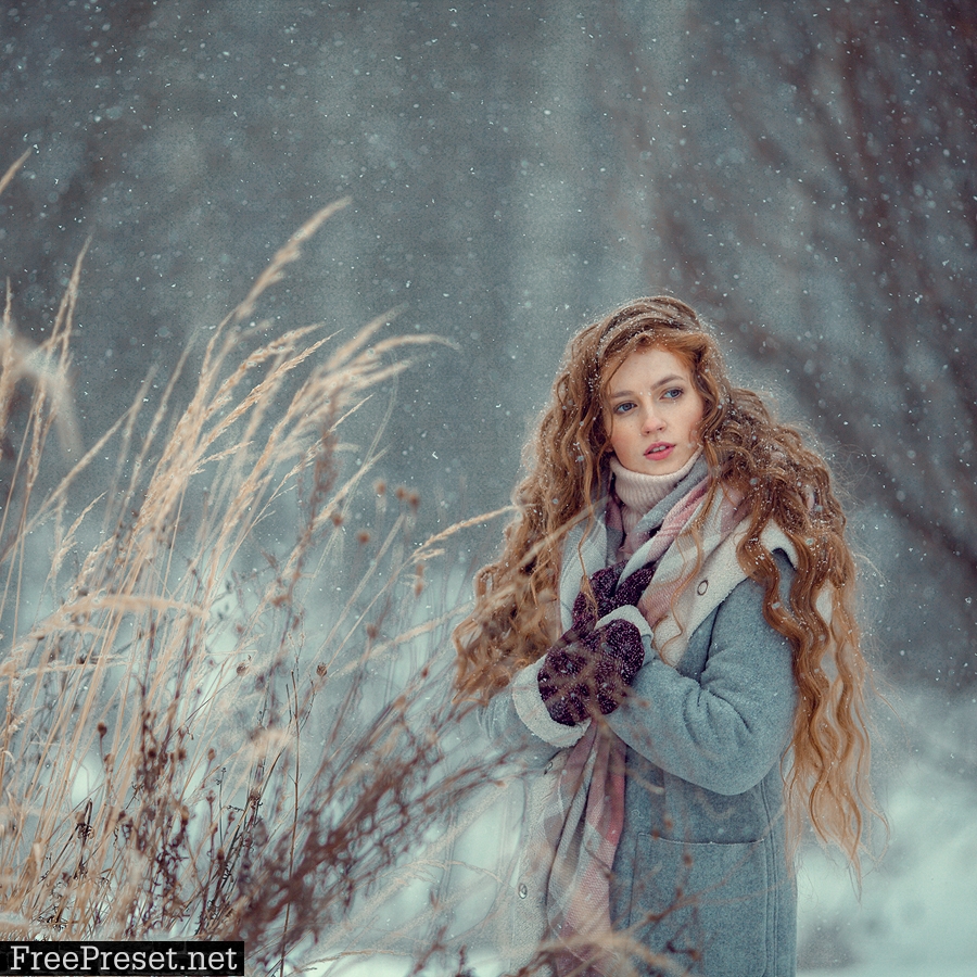 Anna Melnikova photographer - Winter presets
