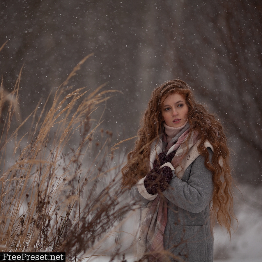 Anna Melnikova photographer - Winter presets