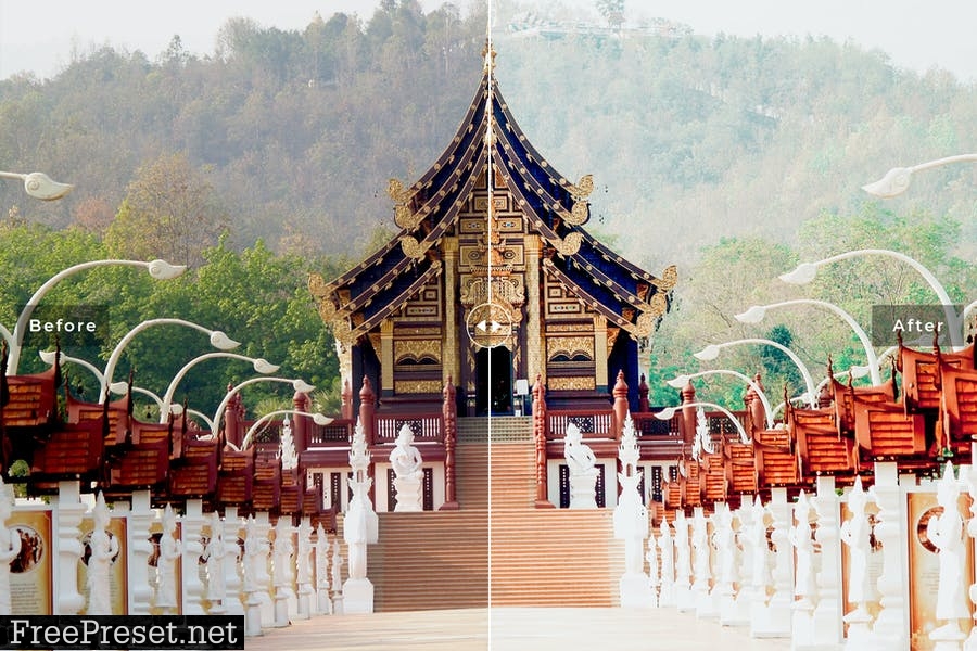 Asia Mobile & Desktop Lightroom Presets