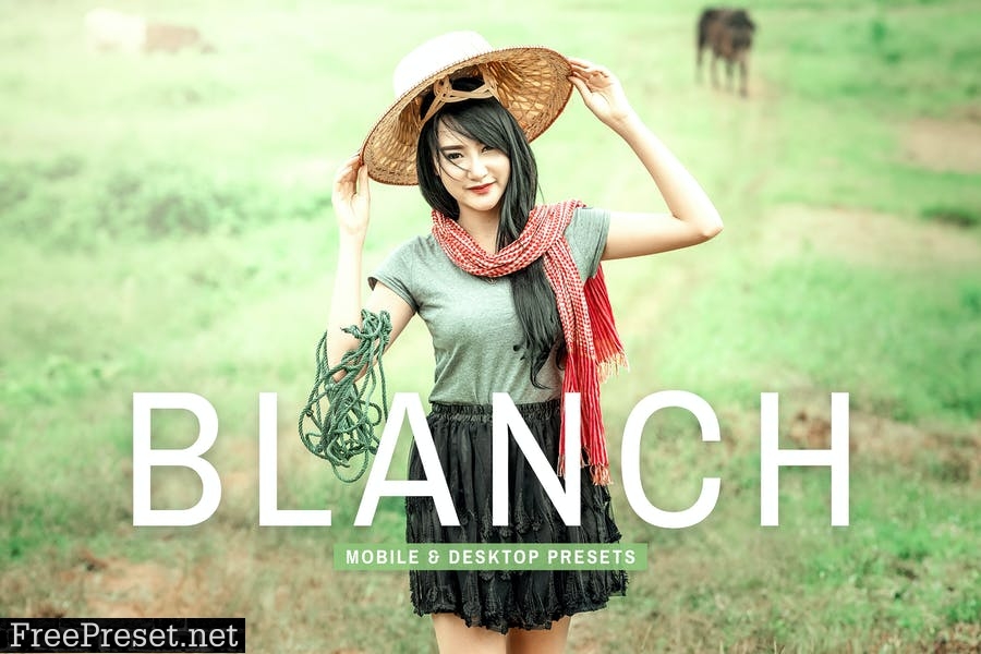 Blanch Mobile & Desktop Lightroom Presets