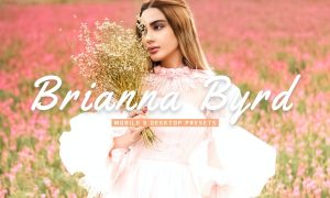 Brianna Byrd Mobile & Desktop Lightroom Presets