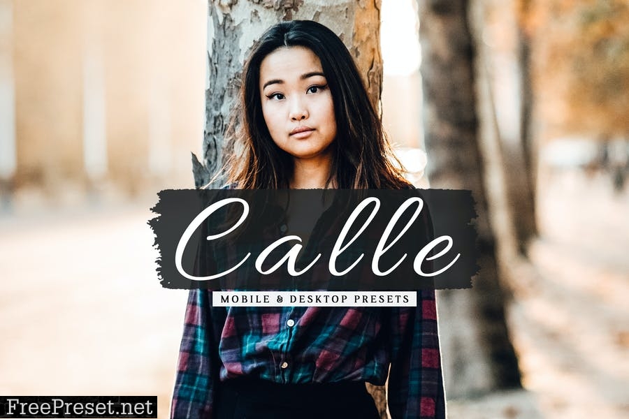 Calle Mobile & Desktop Lightroom Presets