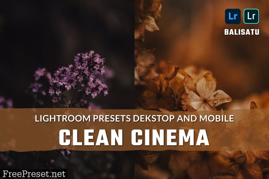 Clean Cinema Lightroom Presets
