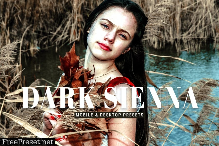 Dark Sienna Mobile & Desktop Lightroom Presets