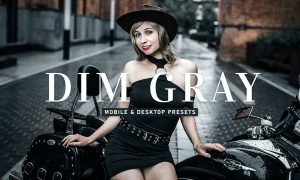 Dim Gray Mobile & Desktop Lightroom Presets
