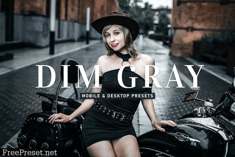 Dim Gray Mobile & Desktop Lightroom Presets