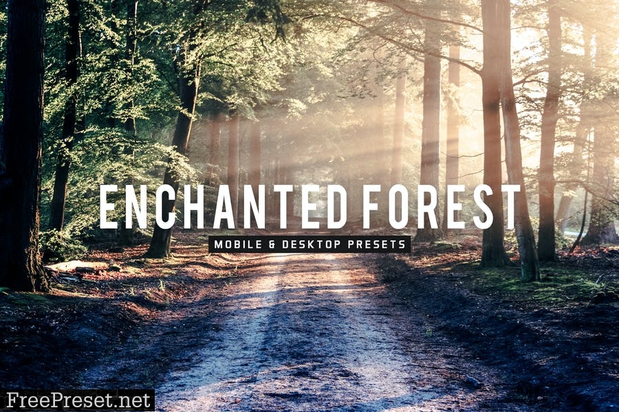 Enchanted Forest Mobile & Desktop Lightroom Preset