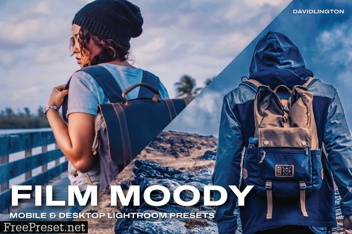 Film Moody Lightroom Presets & LUTs