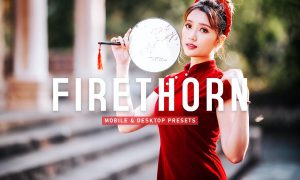 Firethorn Mobile & Desktop Lightroom Presets