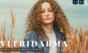 Fitridarma Lightroom Presets Dekstop and Mobile