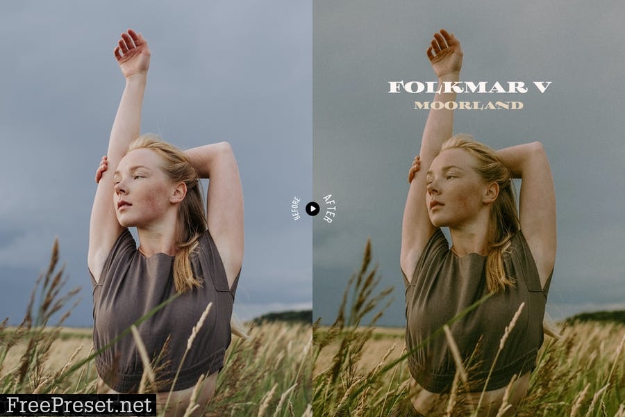 Folkmar Lightroom Presets