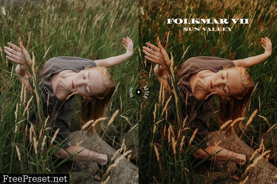 Folkmar Lightroom Presets