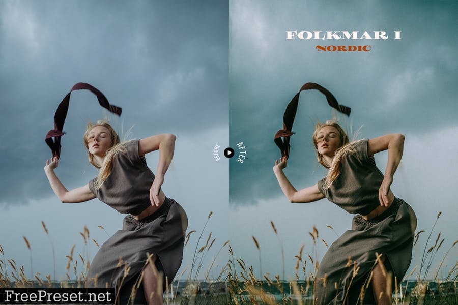 Folkmar Lightroom Presets