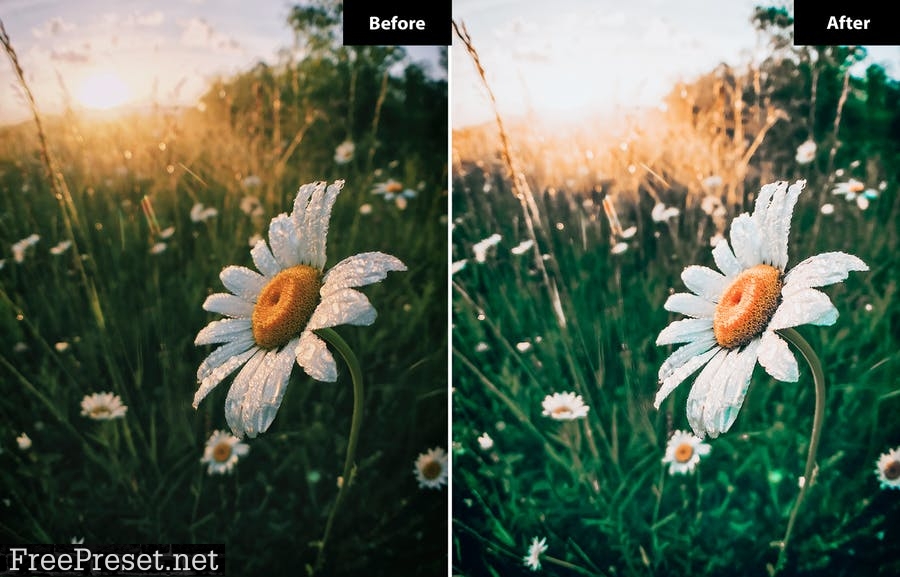 Instagram Mood Lightroom Presets