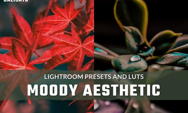 Moody Aesthetic LUTs and Lightroom Presets