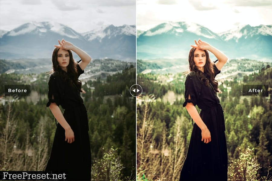 Oleander Mobile & Desktop Lightroom Presets