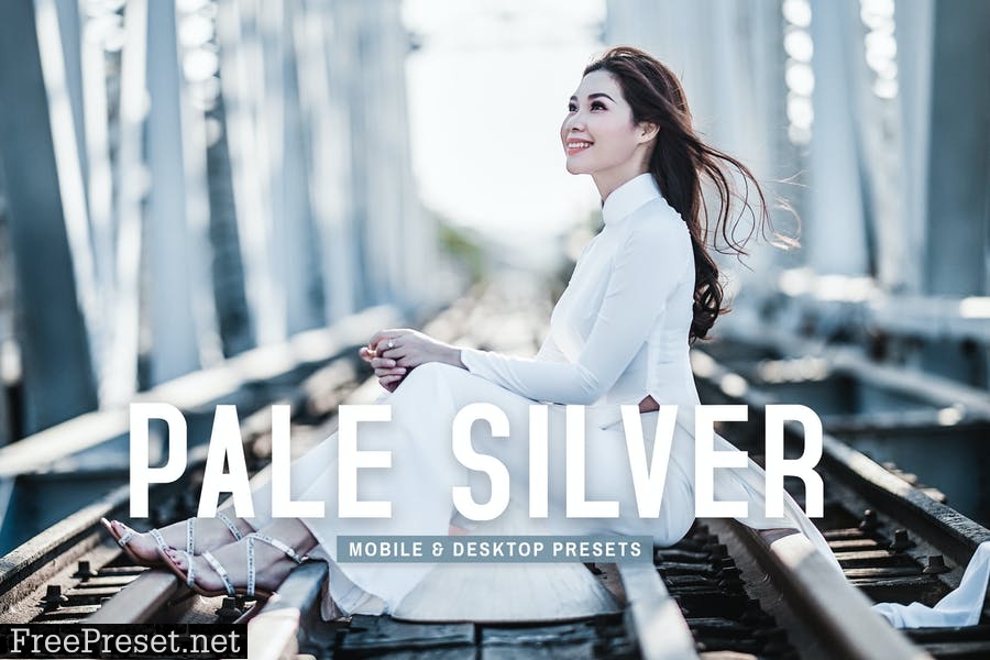 Pale Silver Mobile & Desktop Lightroom Presets