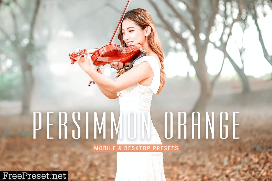 Persimmon Orange Pro Lightroom Presets