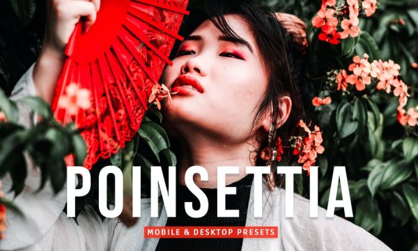 Poinsettia Mobile & Desktop Lightroom Presets