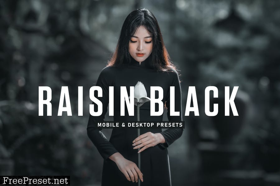 Raisin Black Mobile & Desktop Lightroom Presets