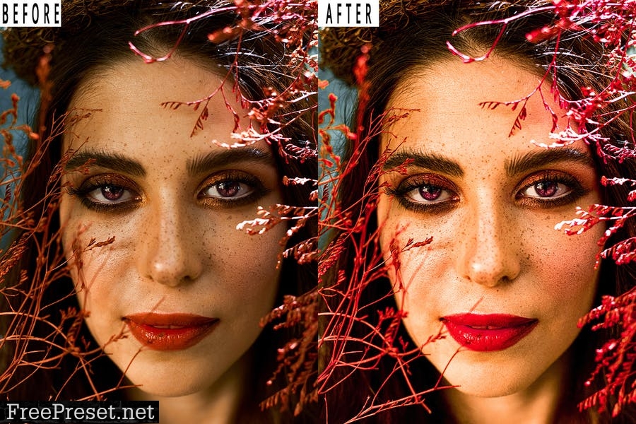 Soft Portrait Tone Photoshop Action & Lightrom Presets
