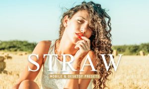 Straw Mobile & Desktop Lightroom Presets