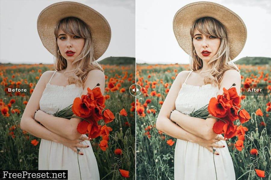 Synchrony Mobile & Desktop Lightroom Presets