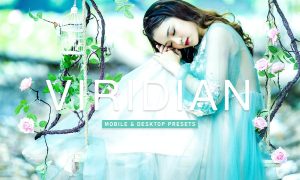 Viridian Mobile & Desktop Lightroom Presets