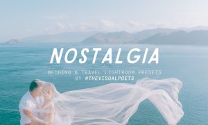 Wedding, Travel and Portrait Presets by The Visual Poets
