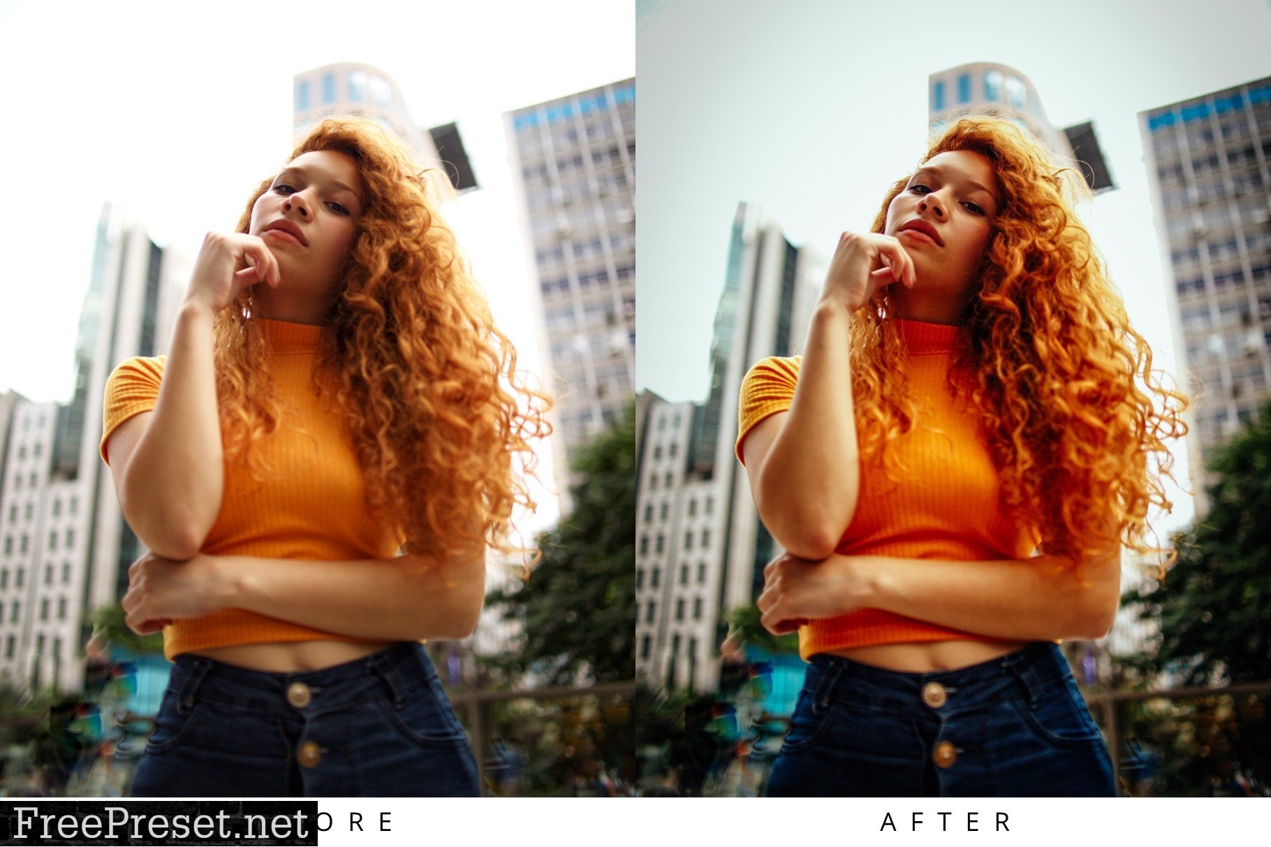 10 Portrait Lightroom Presets 6905750