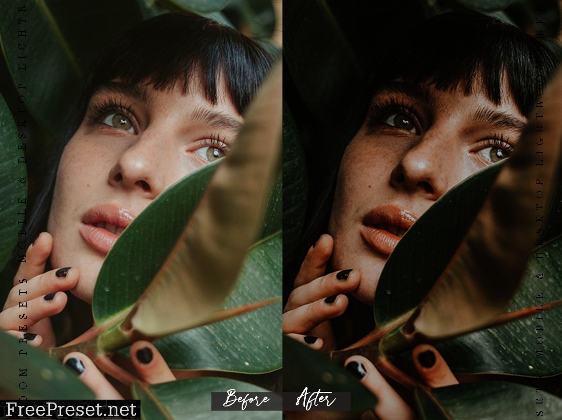 100+ Lightroom Presets Bundle 6958724