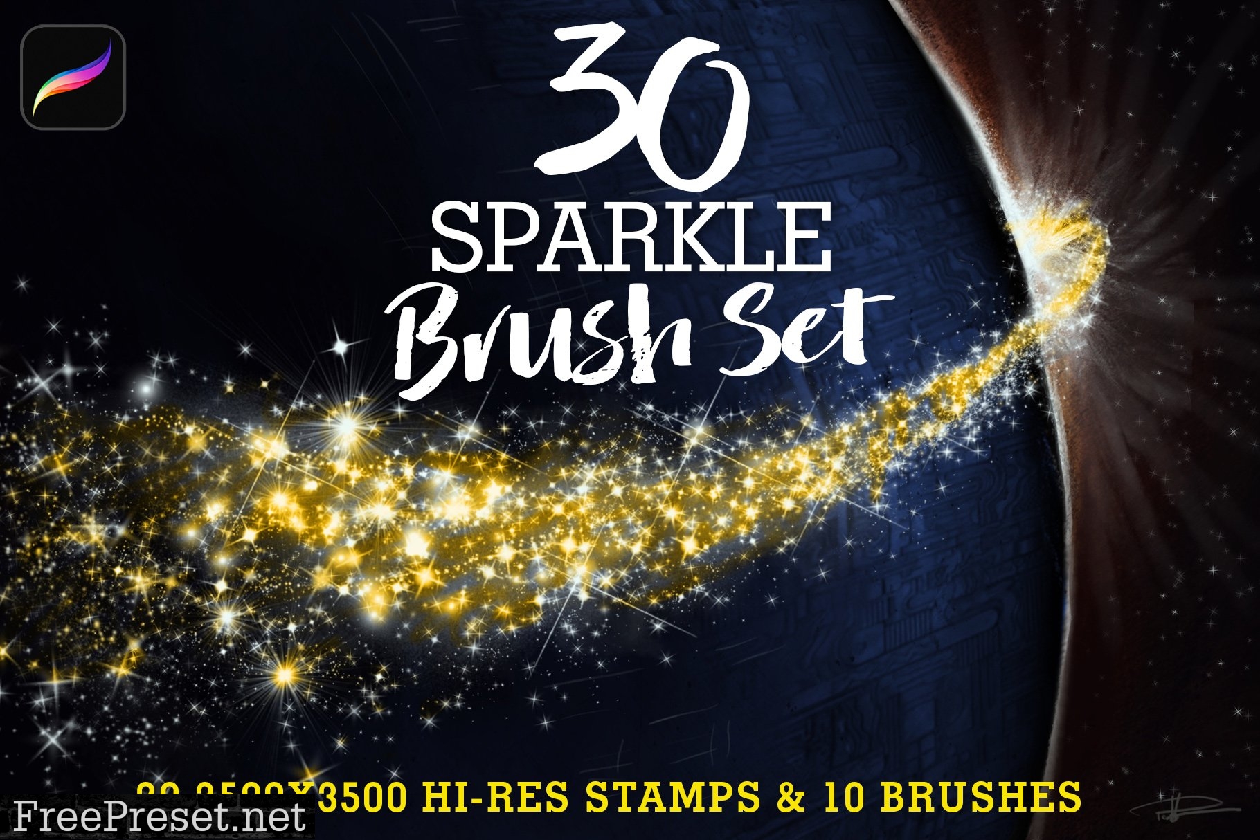 30 Sparkle Brush Set 2741118