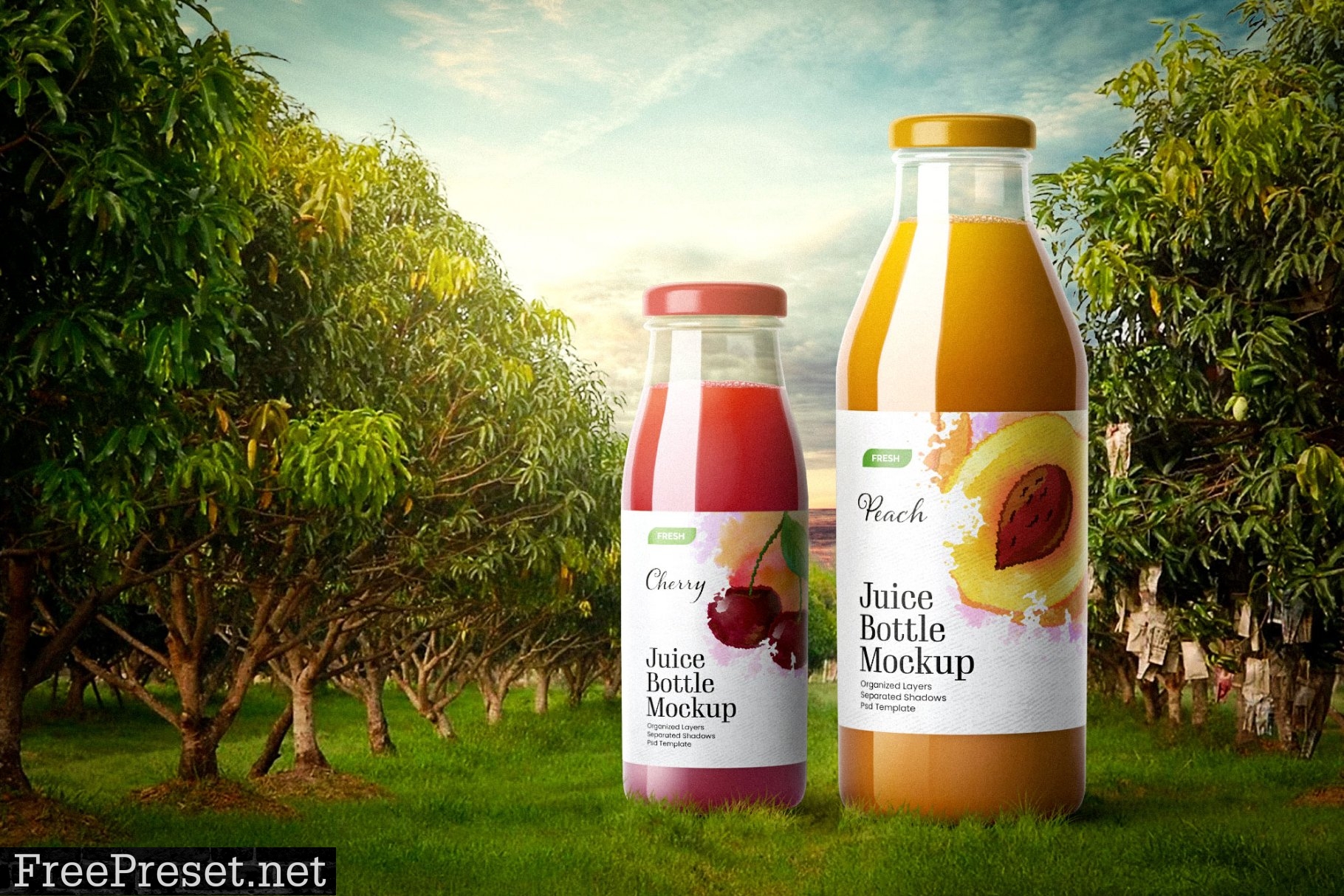 Juice Bottle Packaging Mockup - 3 Views 7345179