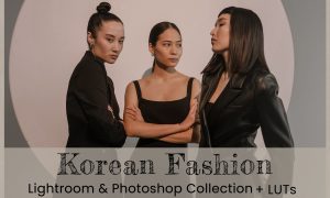 Korean Fashion Lightroom Presets 7260887
