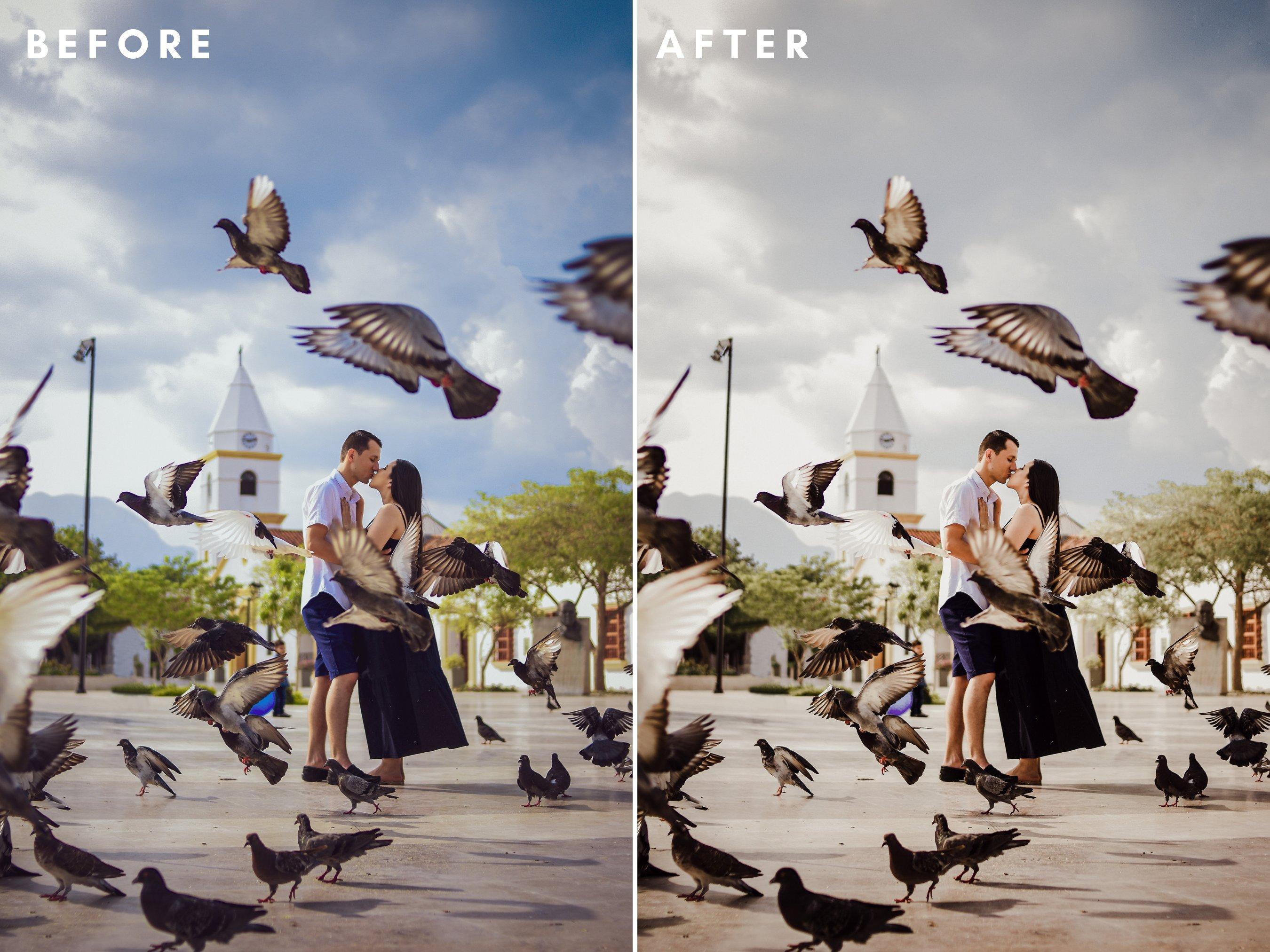 Outdoor Lightroom Presets 6521441