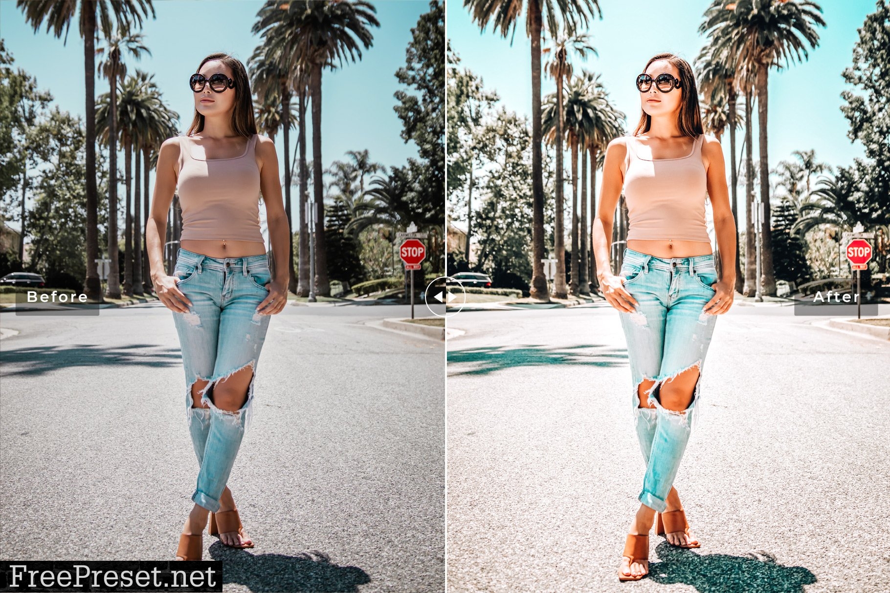 San Jose Pro Lightroom Presets 6834835